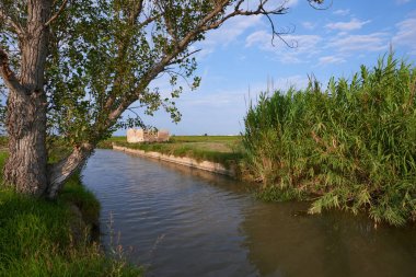 İspanya, Valencia 'da pirinç tarlasında bir su kanalı..