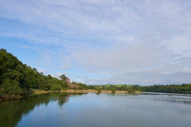 Kıyılarında bol bitki örtüsü olan bir nehrin güzel panoramik manzarası..