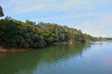Kıyılarında bol bitki örtüsü olan bir nehrin güzel panoramik manzarası..