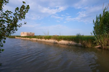 İspanya, Valencia 'da pirinç tarlasında bir su kanalı..