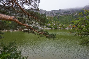 Gri bir sonbahar gününde çam ormanlarıyla çevrili güzel bir göl manzarası..