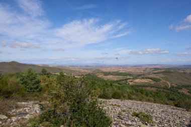 Mavi gökyüzünün altında bazı beyaz bulutlarla birlikte vahşi bir bitki örtüsü olan yemyeşil bir orman..
