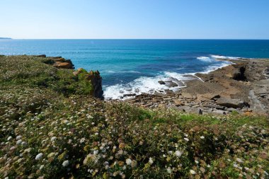 Bitkilerle çevrili vurucu uçurumlar ve turkuaz mavi bir deniz..
