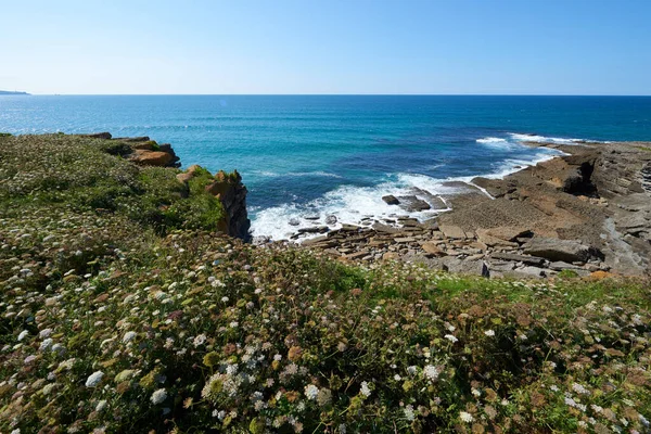 Bitkilerle çevrili vurucu uçurumlar ve turkuaz mavi bir deniz..