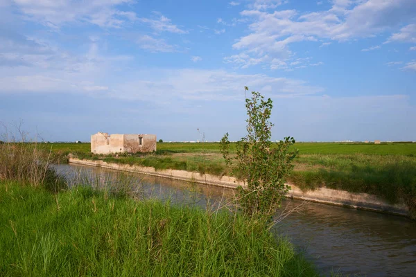 İspanya, Valencia 'da pirinç tarlasında bir su kanalı..