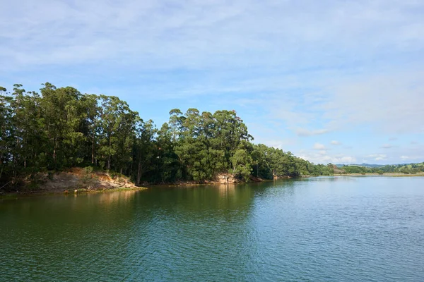 Une Belle Vue Panoramique Sur Une Rivière Avec Une Végétation — Photo