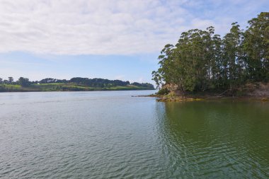 Kıyılarında bol bitki örtüsü olan bir nehrin güzel panoramik manzarası..