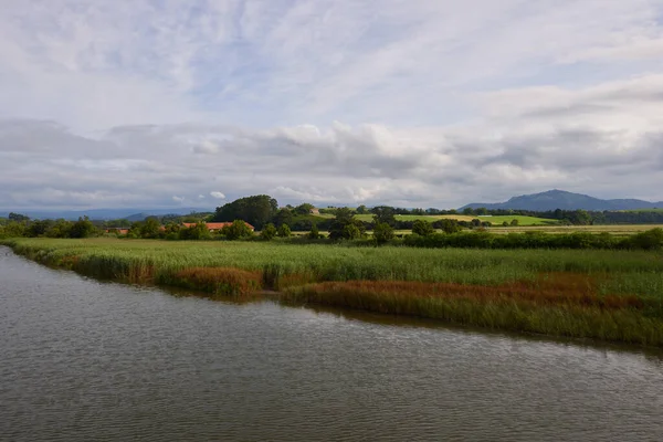 Kıyılarında bol bitki örtüsü olan bir nehrin güzel panoramik manzarası..