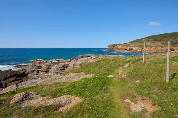 Bitkilerle çevrili vurucu uçurumlar ve turkuaz mavi bir deniz..