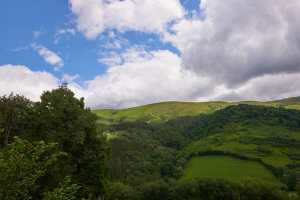 Bulutlu bir günde bol bitki örtüsü olan bir dağın güzel panoramik manzarası..