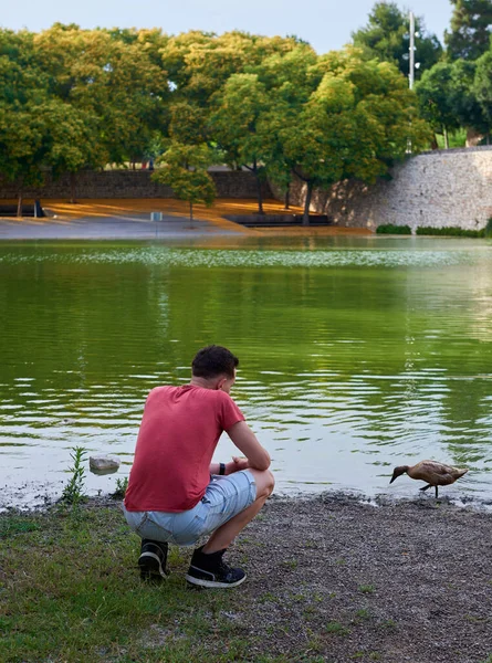 A young man feeding ducks by a pond.
