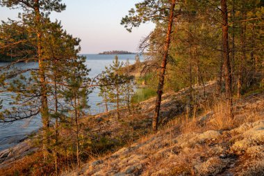 Ladoga Gölü 'nde yaz günbatımı. Rusya