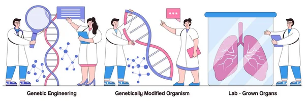 Engenharia Genética Organismo Geneticamente Modificado Conceito Órgãos Cultivados Laboratório Com —  Vetores de Stock