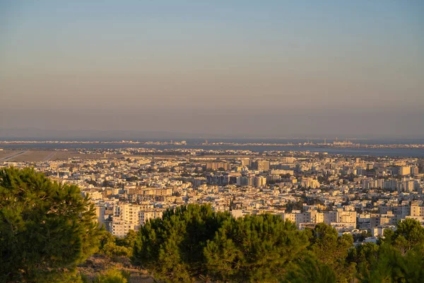 Veduta Tunisi Dalla Montagna Tunisia — Foto Stock