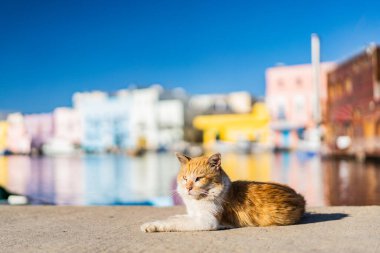 Kasbah duvarı ve eski limanlarda resimli evler olan liman manzarası. Bizerte . Tunus 