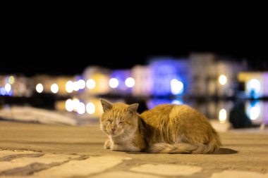 Kasbah duvarı ve eski limanlarda resimli evler olan liman manzarası. Bizerte . Tunus 