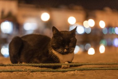 Kasbah duvarı ve eski limanlarda resimli evler olan liman manzarası. Bizerte . Tunus 