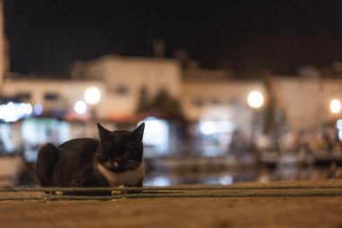 Kasbah duvarı ve eski limanlarda resimli evler olan liman manzarası. Bizerte . Tunus 