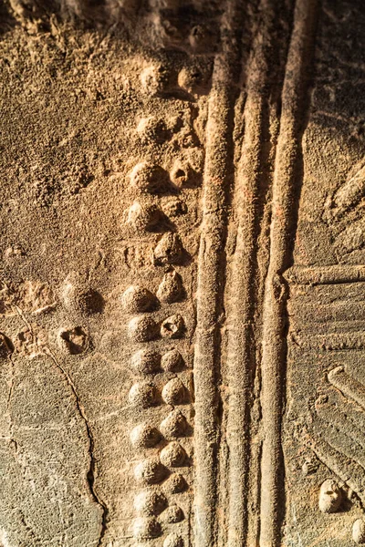 Berber Old Symbol Auf Mauer Region Dahar Südtunesien — Stockfoto