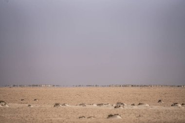 Chott Jerid 'in güney Tunus' taki endorheik tuz gölü manzarası. - Tozeur Valiliği - Tunus 