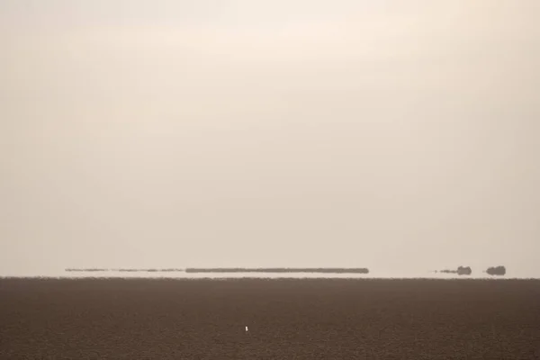 Chott Jerid Güney Tunus Taki Endorheik Tuz Gölü Manzarası Tozeur — Stok fotoğraf