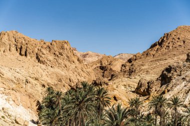 Tunus 'un batısındaki Chbika Dağı' nın manzarası - Tunus Valiliği - Tunus 