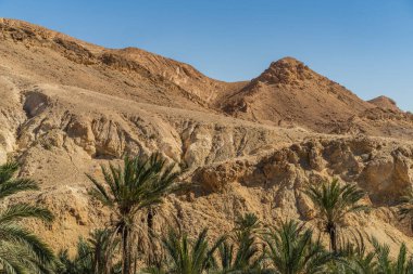Tunus 'un batısındaki Chbika Dağı' nın manzarası - Tunus Valiliği - Tunus 