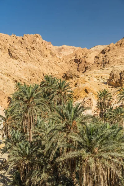 Some View Chbika Mountain Oasis Western Tunisia Tozeur Governorate Tunisia — Stockfoto