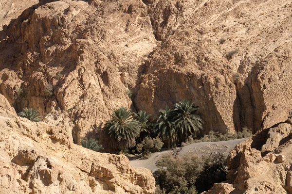 Some View Chbika Mountain Oasis Western Tunisia Tozeur Governorate Tunisia — 스톡 사진