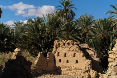 Mides Kanyonu - Güney Tunus - Tunus 