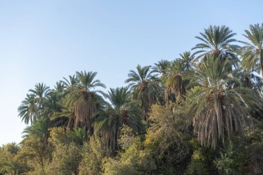 Tunus 'un batısındaki Chbika Dağı' nın manzarası - Tunus Valiliği - Tunus 