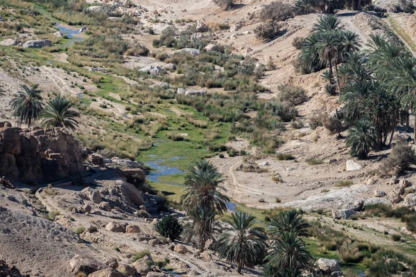 View South Mountain Oasis Western Tunisia Tozeur Governorate Tunisia — 스톡 사진