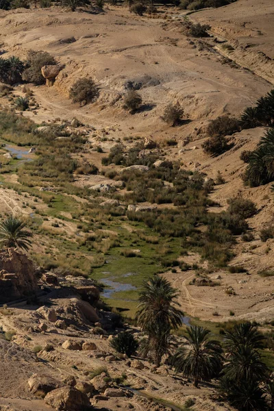 突尼斯西部 托泽尔省 突尼斯南部山区绿洲景观 — 图库照片