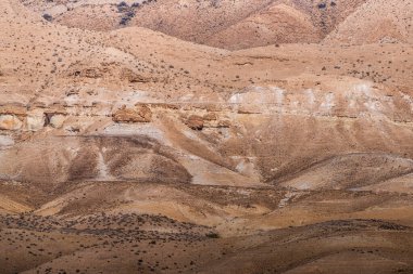 Batı Tunus 'taki Güney Dağı Vahası - Tozeur Valiliği - Tunus
