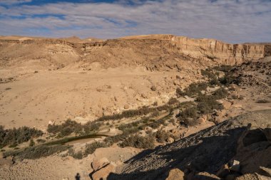 Batı Tunus 'taki Güney Dağı Vahası - Tozeur Valiliği - Tunus