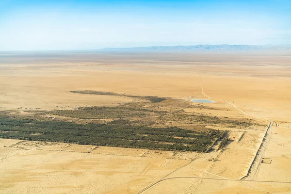 Aerial View Desert Tozeur Its Palm Grove Western Tunisia Tunisia — Zdjęcie stockowe