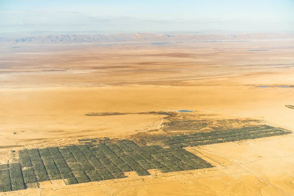 Aerial View Desert Tozeur Its Palm Grove Western Tunisia Tunisia — Zdjęcie stockowe