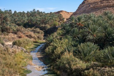 View of Canyon -in western Tunisia close to Sahara - Tunisia 