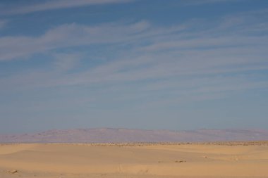 Batı Tunus 'taki çöl manzarası, Sahra' nın başlangıcı..