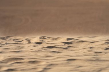 Batı Tunus 'taki çöl manzarası, Sahra' nın başlangıcı..