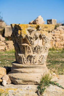 Kuzey Tunus 'ta Thuburbo Majus büyük Roma bölgesi