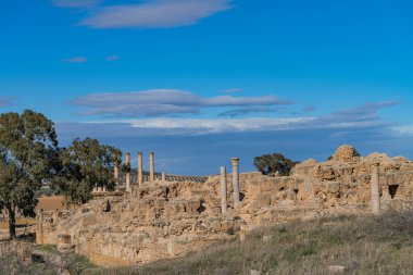 Thuburbo Majus large roman site in northern Tunisia clipart