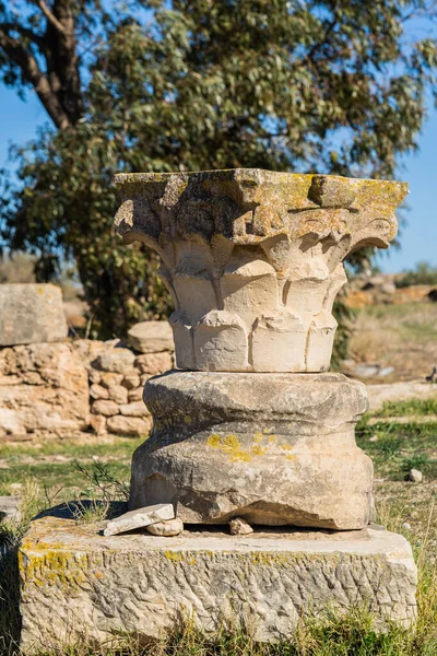 Thuburbo Majus Large Roman Site Northern Tunisia — Stock Photo, Image