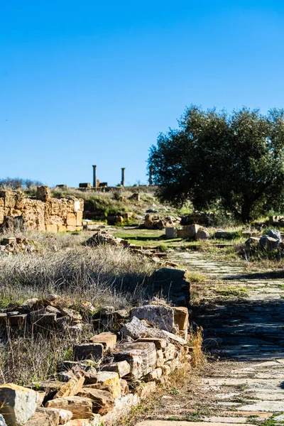 Thuburbo Majus Large Roman Site Northern Tunisia — Stock Photo, Image