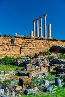 Kuzey Tunus 'ta Thuburbo Majus büyük Roma bölgesi