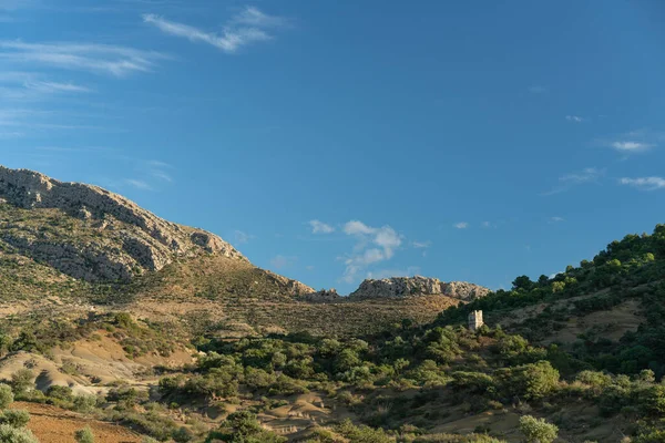 北チュニジアのザグワーン山の眺め ザグワーン州知事 チュニジア — ストック写真