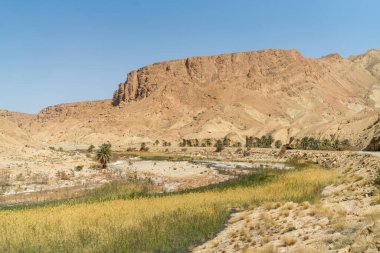 Sejla Gorges 'un bazı görüşleri - Batı Tunus - Gafsa Valiliği - Tunus