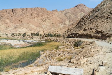 Sejla Gorges 'un bazı görüşleri - Batı Tunus - Gafsa Valiliği - Tunus