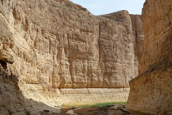 Some Views Sejla Gorges Western Tunisia Gafsa Governorate Tunisia — стоковое фото