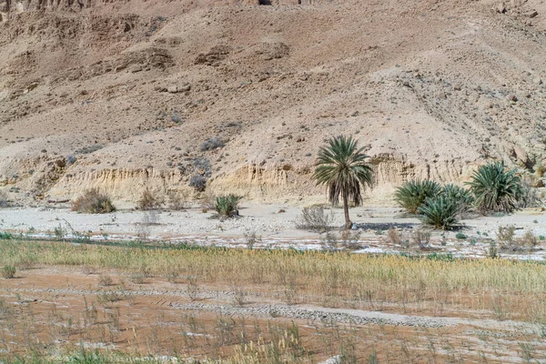 Algumas Vistas Província Sejla Gorges Oeste Tunísia Gafsa Tunísia — Fotografia de Stock